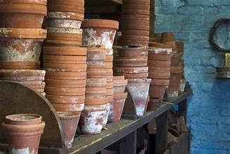 Signs Your Houseplant Needs Repotting (and How to Do It Without Breaking a Sweat)