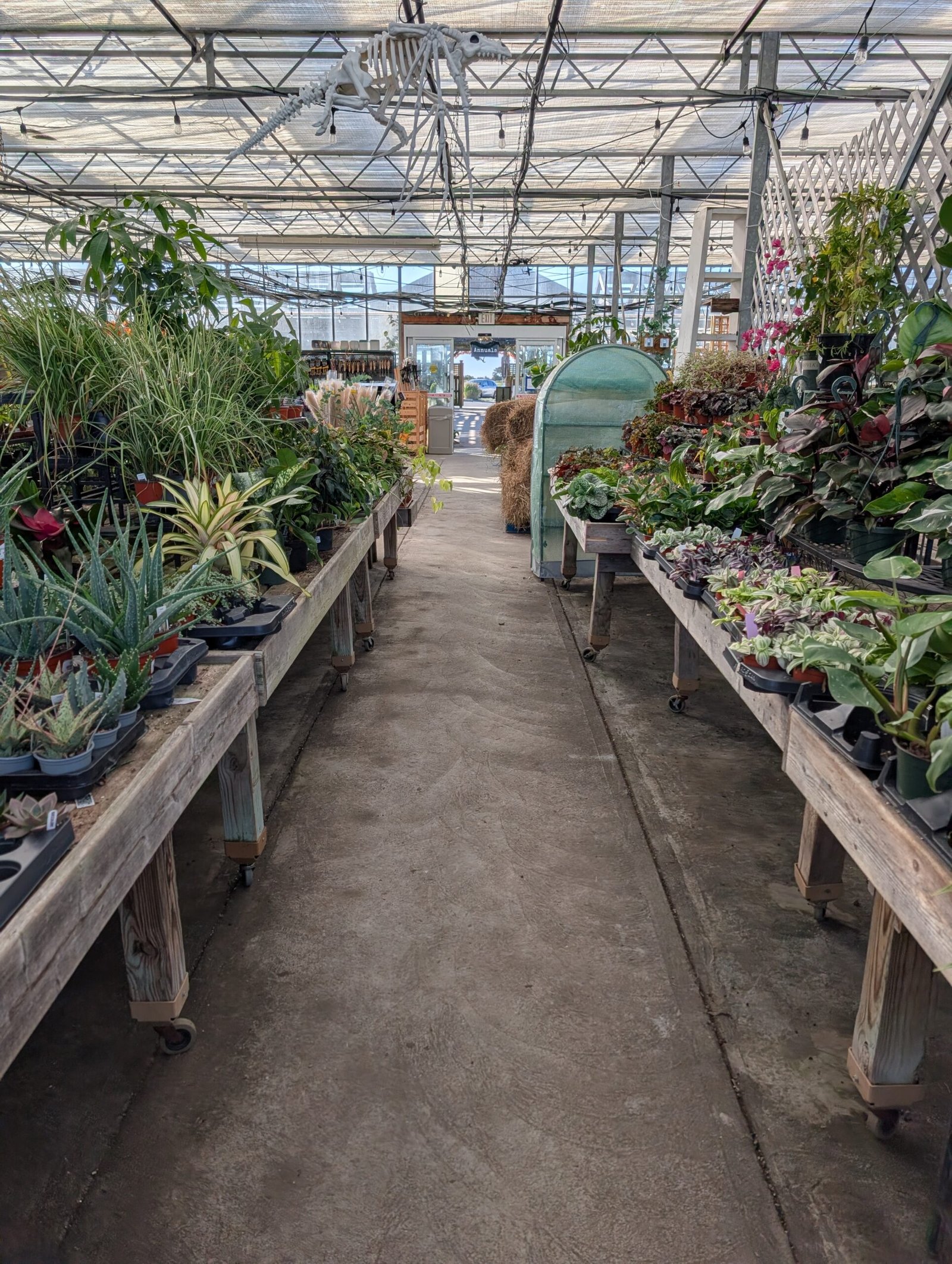 The Science Behind Potting Soil: How to Build the Perfect Mix for Indoor Plants